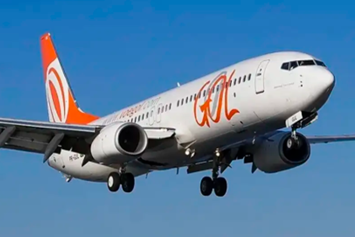 Avião bate em pássaro