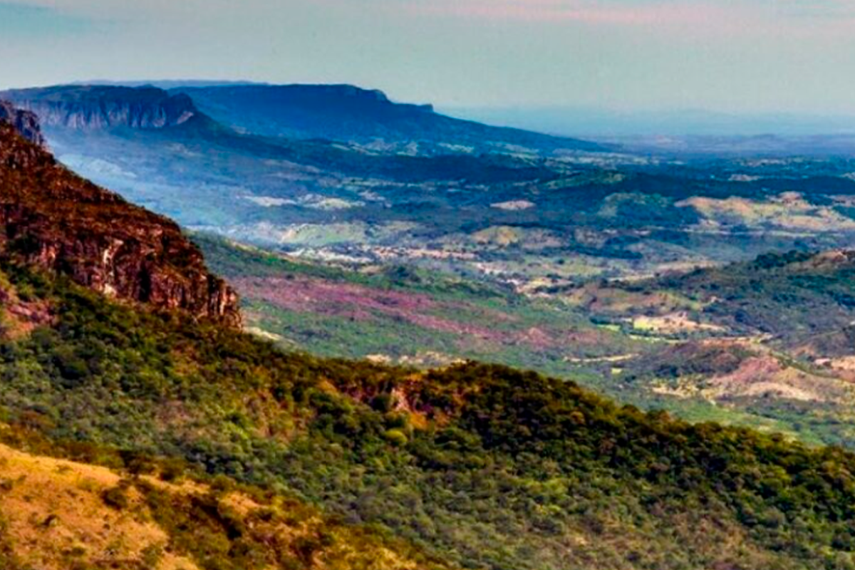 Meio ambiente em Goiás