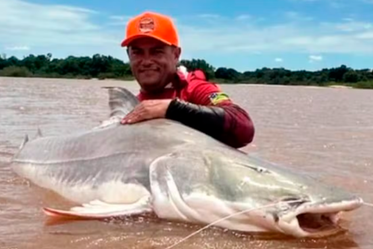 Piraíba é capturada