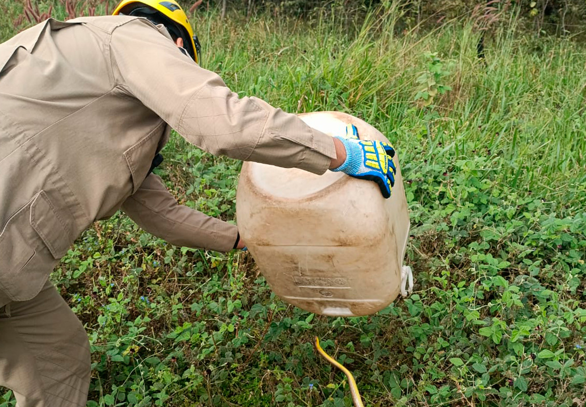 Cobra caninana é capturada e solta por bombeiros em lago de Ipameri.