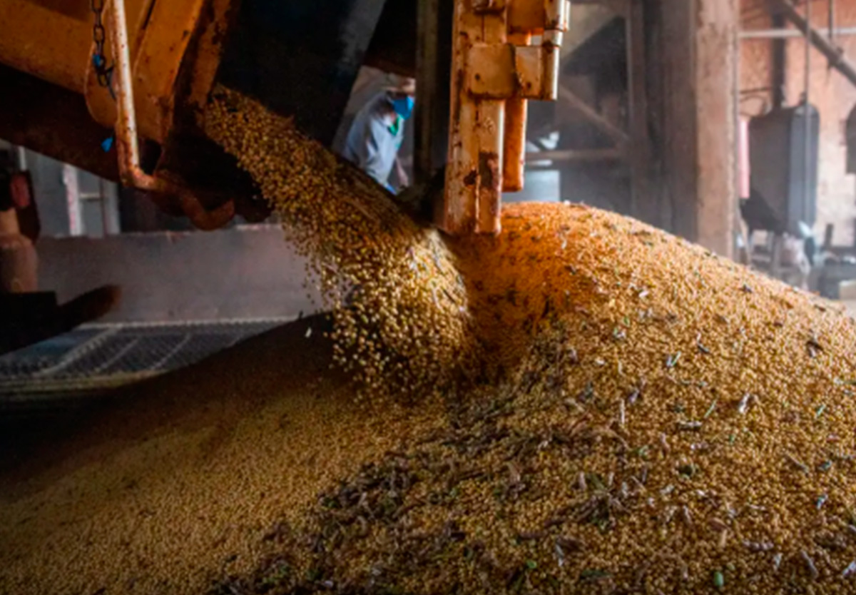PIB brasileiro cresce 1 4% e atinge novo recorde no primeiro trimestre.