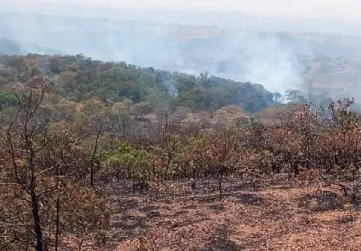 Corpo de Bombeiros de Catalão combate incêndio na Fazenda Matinha próximo ao trevo de Goiandira.