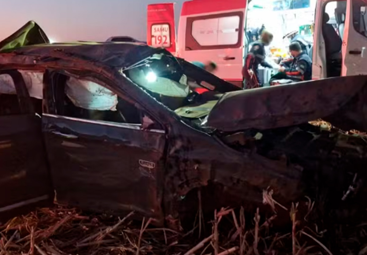 Jovem morre em acidente após atropelar javali.