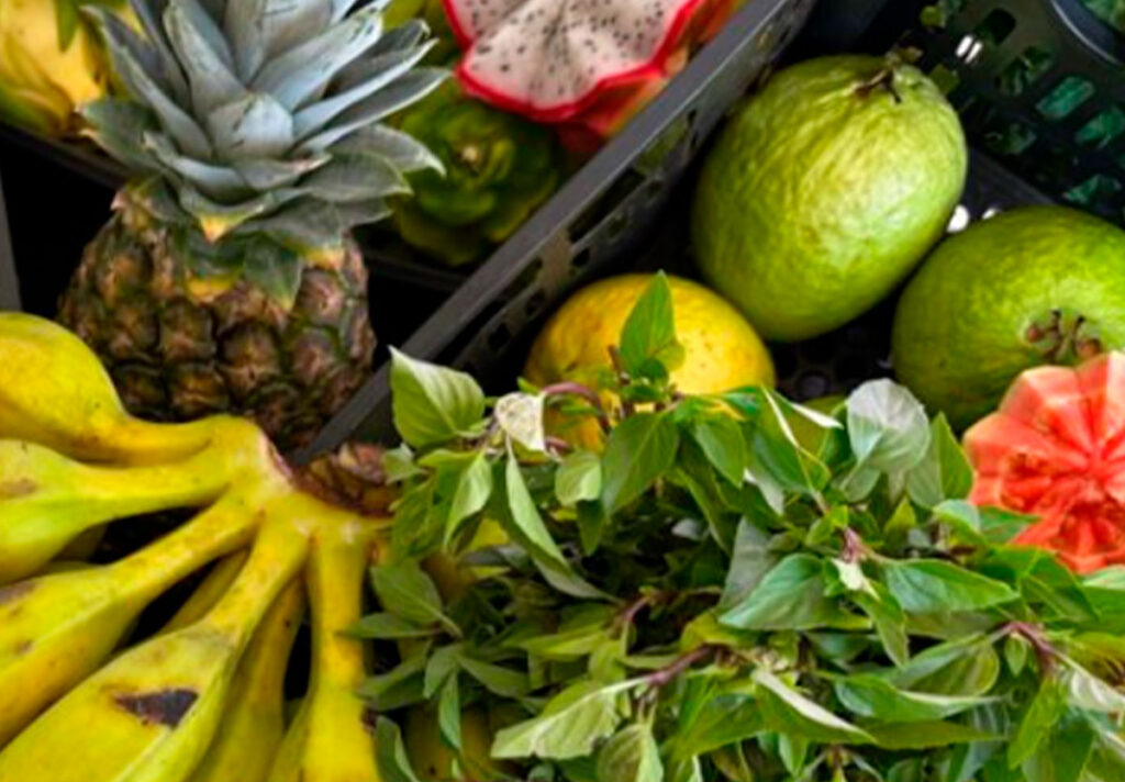 Goiás investe R$ 29,9 milhões para fortalecer agricultura familiar