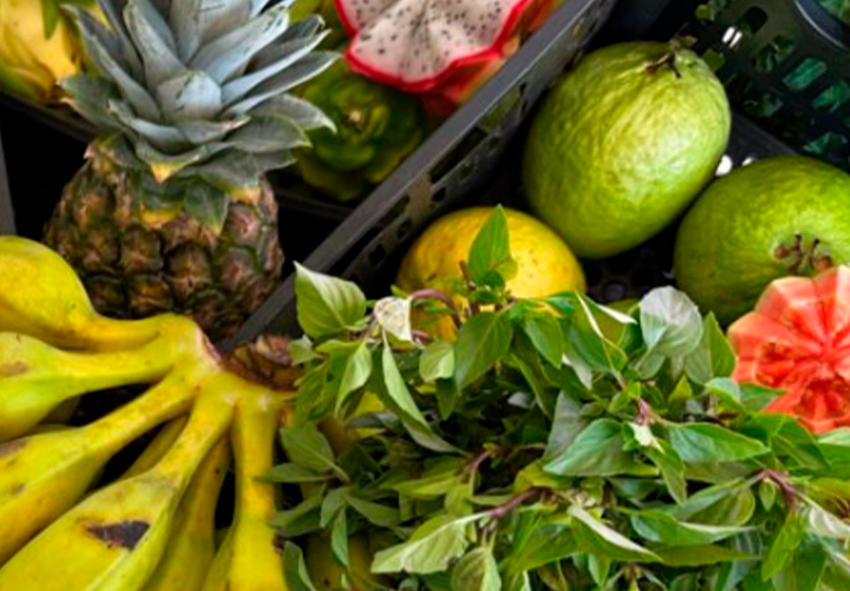 Goiás investe R$ 29,9 milhões para fortalecer agricultura familiar