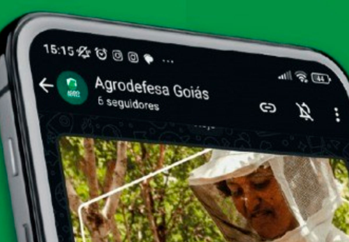 Agrodefesa lança canal no WhatsApp para produtores rurais em Goiás
