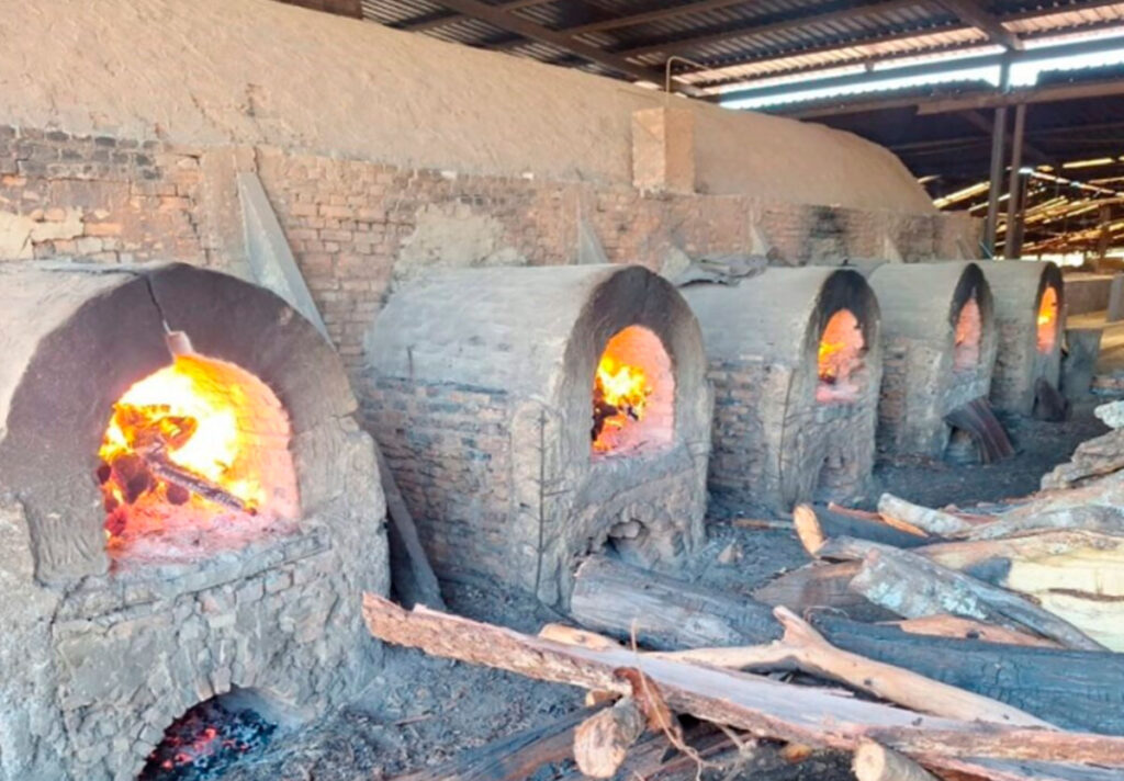 Operação “Tijolo Mole” autua 40 cerâmicas por crimes ambientais em Goiás