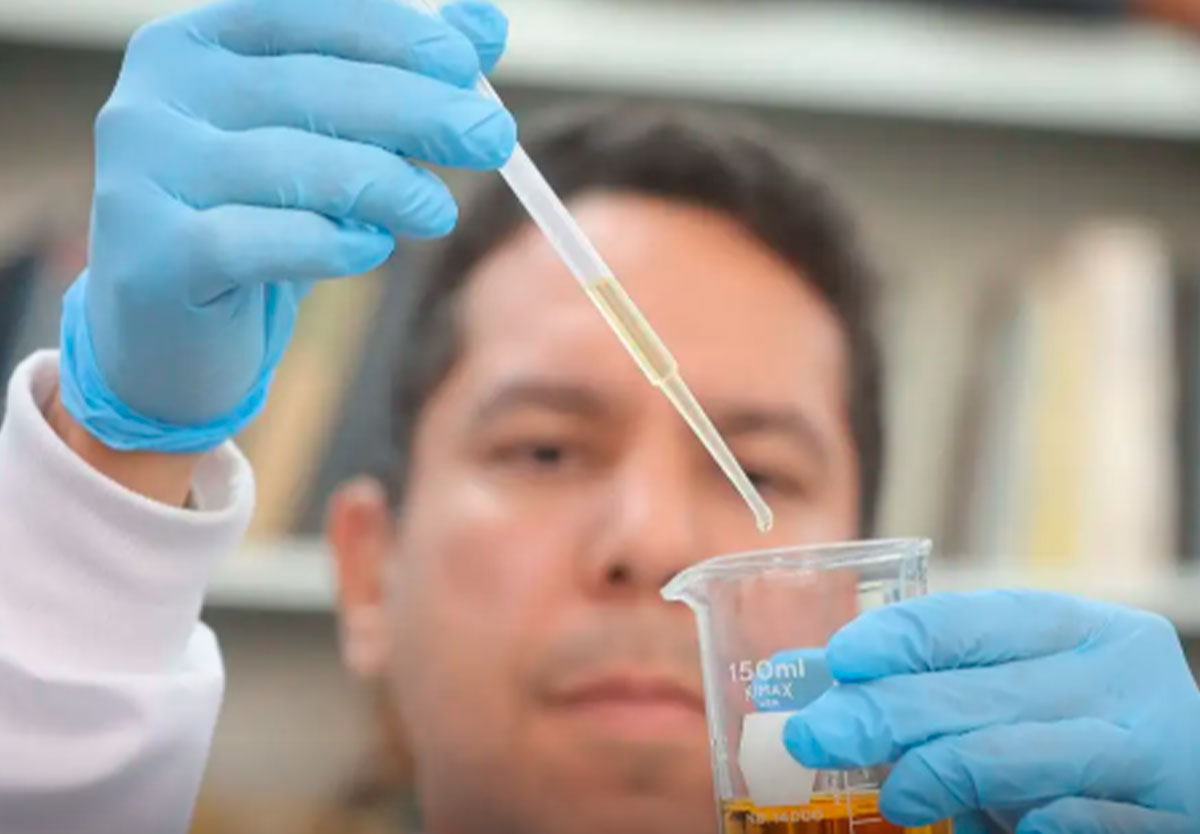 Metanol em bebidas: 30 dias depois, 58 casos e novas medidas de controle