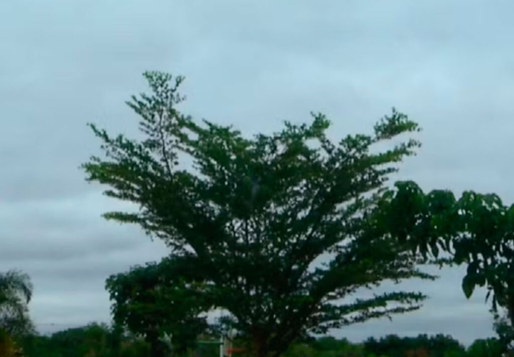 Cimehgo explica queda repentina de temperatura e alerta para novas tempestades