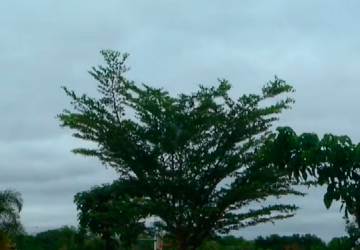 Cimehgo explica queda repentina de temperatura e alerta para novas tempestades