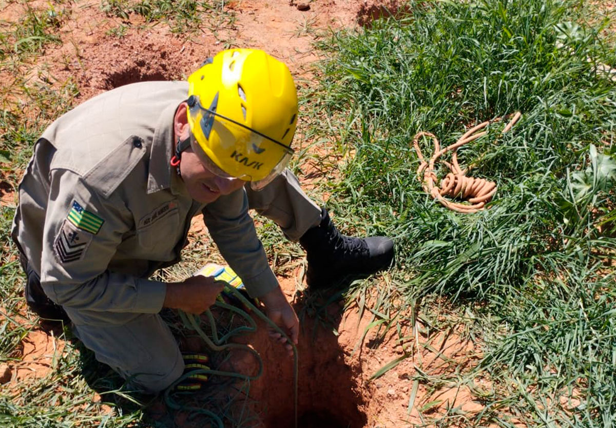 Cachorro cai em buraco de 3 metros e mobiliza bombeiros em Ipameri