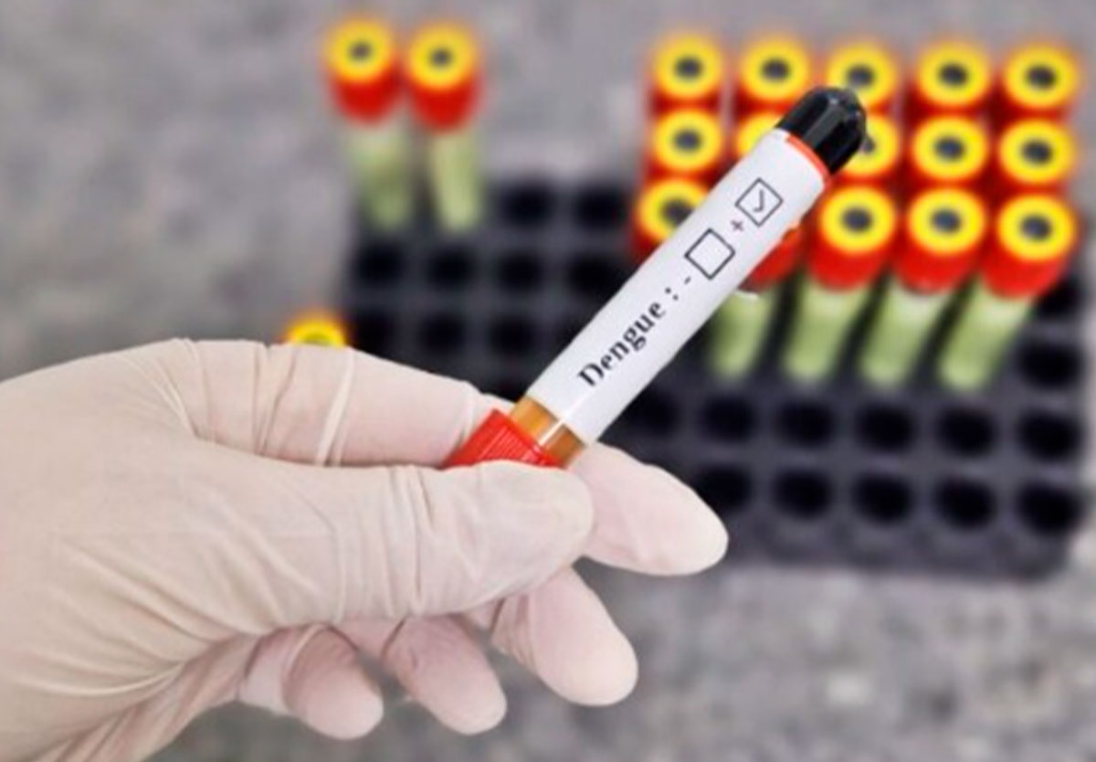 Período chuvoso reacende alerta para a dengue em Goiás, diz infectologista