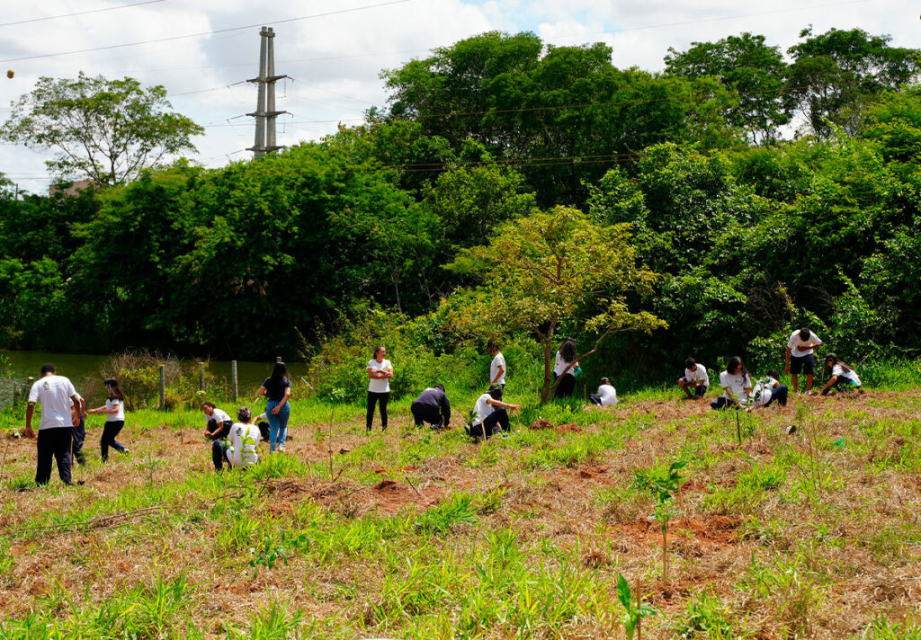 Virada Ambiental 2025 mobiliza estudantes e empresas no DIMIC