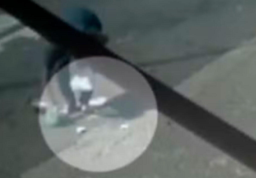 Secretária encontra R$ 1,8 mil e devolve salário perdido de gari em Goiás