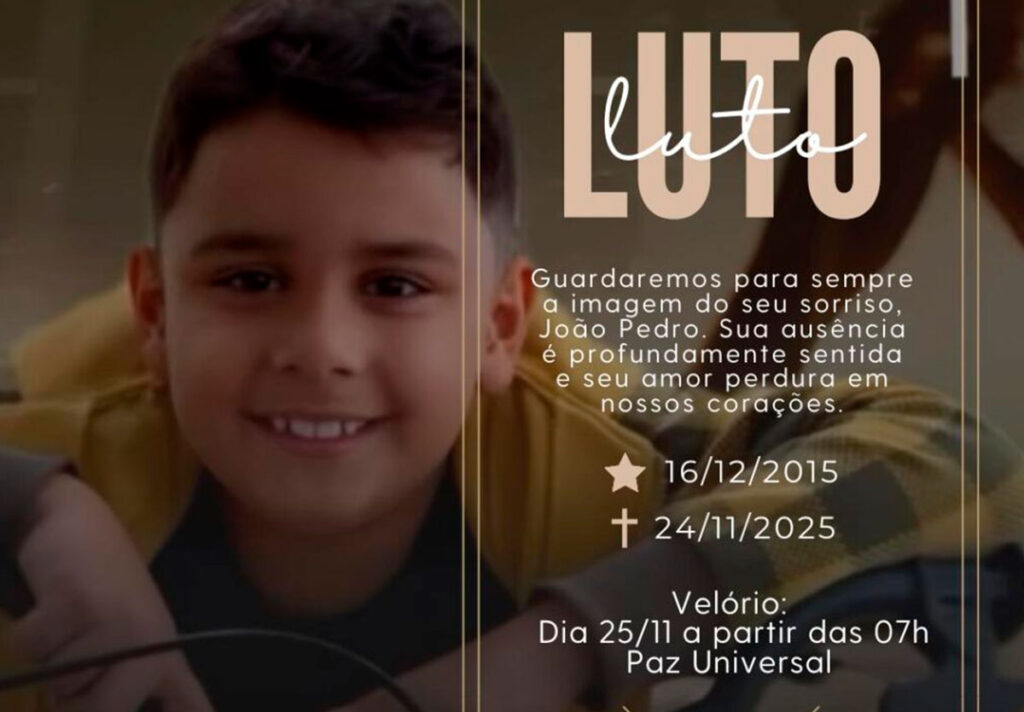Menino de 9 anos morre após ataque brutal de enxame de abelhas em Catalão